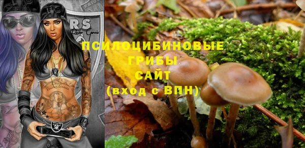 мет Армянск