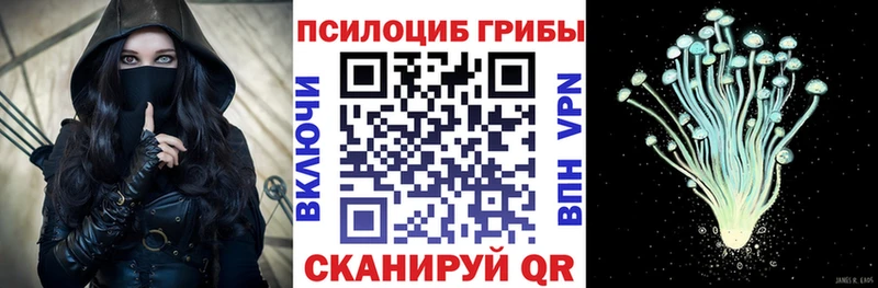 нарко площадка телеграм  Ивдель  Псилоцибиновые грибы Psilocybe  где купить наркотик 